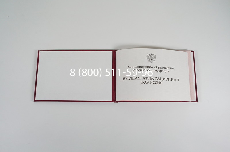 Диплом доктора наук 1995-2006 года в Каменске-Уральском Диплом доктора наук 1995-2006 года в Каменске-Уральском
