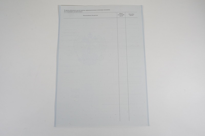 Диплом о начальном образовании 2007-2009 годов в Каменске-Уральском Диплом о начальном образовании 2007-2009 годов в Каменске-Уральском